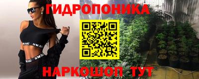 ешки Аргун