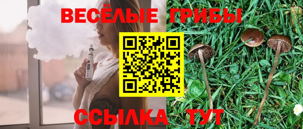 Псилоцибиновые грибы мицелий Асбест